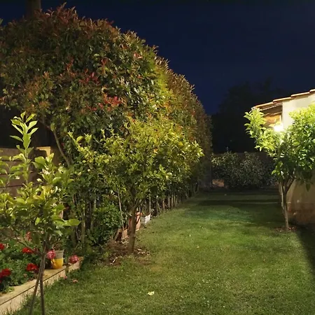 Melody * 圣尼古拉奥斯